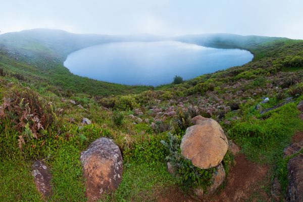 Circuit Equateur et Galapagos Authentiques pas cher photo 30