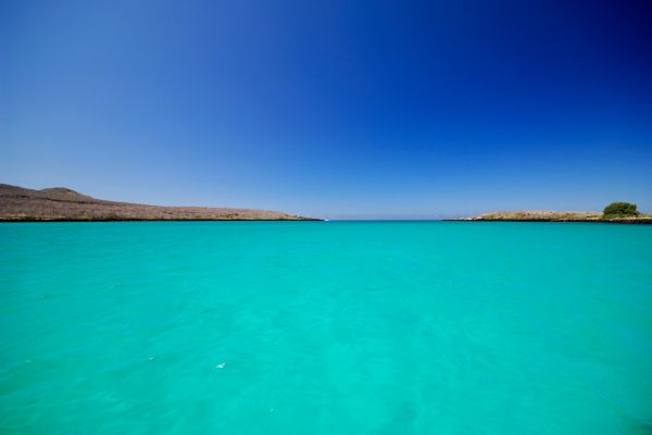 Circuit Equateur et Galapagos Authentiques pas cher photo 31