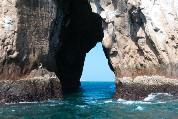 Circuit Equateur et Galapagos Authentiques pas cher photo 38