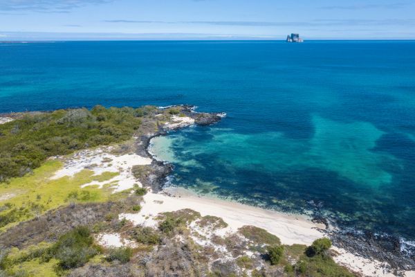 Circuit Equateur et Galapagos Authentiques pas cher photo 39