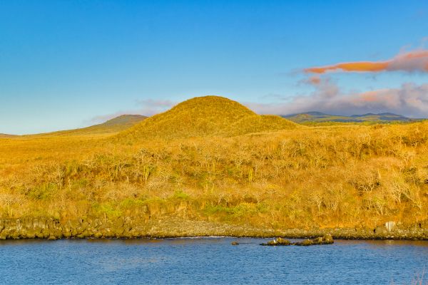 Circuit Equateur et Galapagos Authentiques pas cher photo 40
