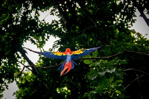 Circuit Chemins Sacrés du Guatemala et du Pacifique pas cher photo 5