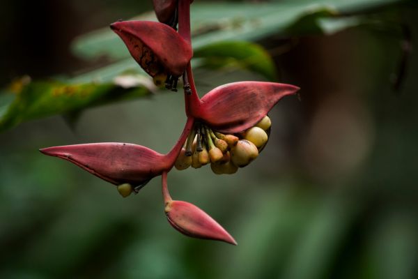 Circuit Chemins Sacrés du Guatemala et du Pacifique pas cher photo 9