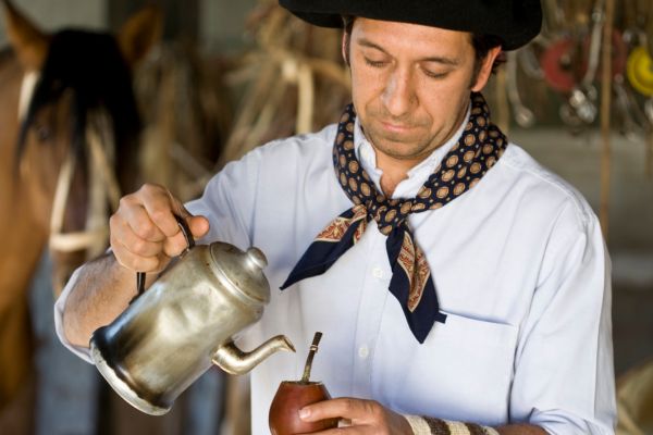 Circuit Tango, Pampa et Terre de Feu pas cher photo 21