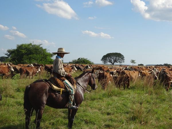 Circuit Splendeurs d'Argentine pas cher photo 15