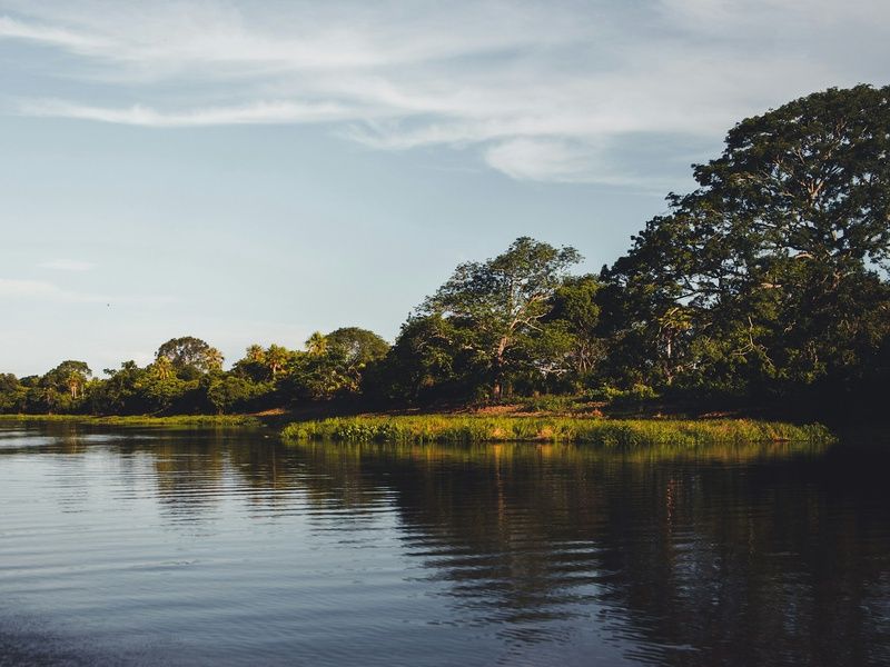 Circuit Merveilles du Brésil et Séjour Pantanal pas cher photo 16