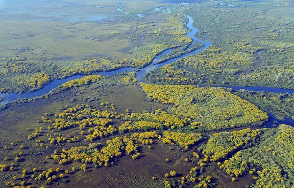 Circuit Merveilles du Brésil et Séjour Pantanal pas cher photo 17
