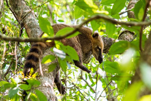 Circuit Grand Tour Argentin, Terre de Feu, les Andes et Iguazu pas cher photo 8