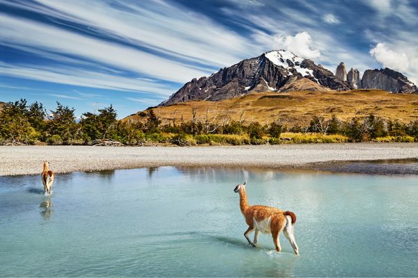 Circuit Découverte de Chiloé et Aventure Chilienne du Nord au Sud pas cher photo 11