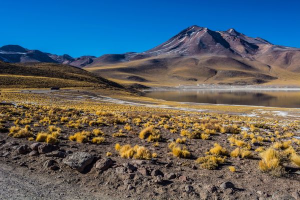 Circuit Découverte de Chiloé et Aventure Chilienne du Nord au Sud pas cher photo 14