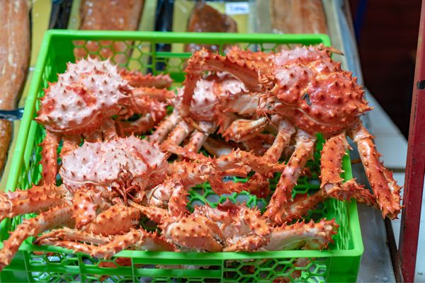 Circuit Découverte de Chiloé et Aventure Chilienne du Nord au Sud pas cher photo 37