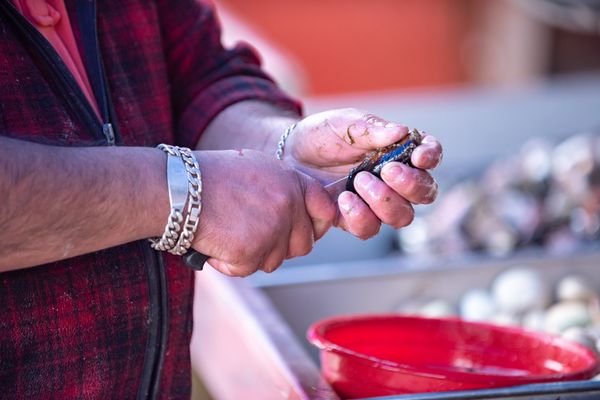 Circuit Découverte de Chiloé et Aventure Chilienne du Nord au Sud pas cher photo 38