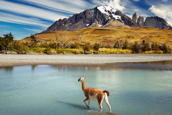 Circuit Aventure Chilienne du Nord au Sud et Ile de Paques pas cher photo 13