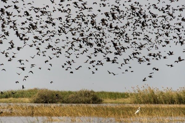 Circuit Mythes & charmes du Sénégal 3* pas cher photo 10