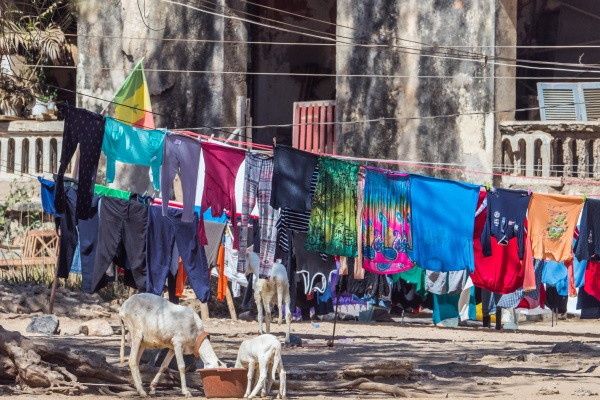 Circuit Mythes & charmes du Sénégal 3* pas cher photo 14