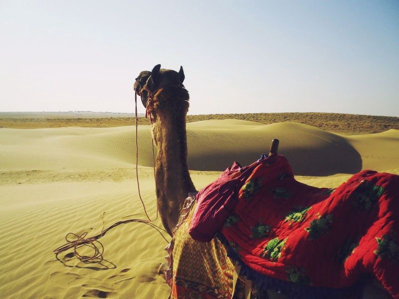 Circuit Lumières du Rajasthan et Vallée du Gange pas cher photo 5