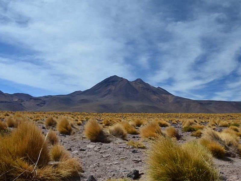 Road Trip Echappée Chilienne et Désert d'Atacama pas cher photo 1