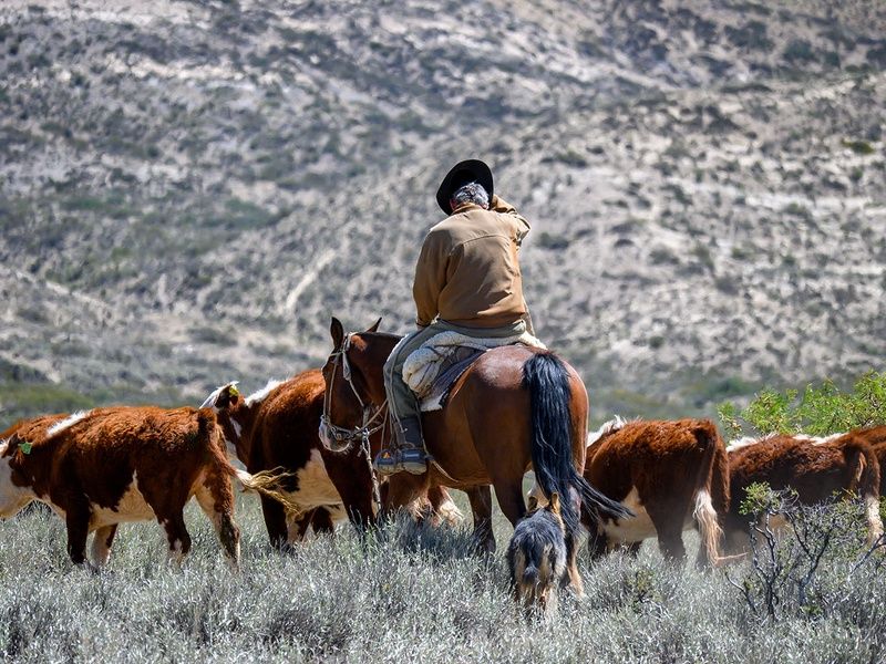 Tango, Iguazu et glacier pas cher photo 10