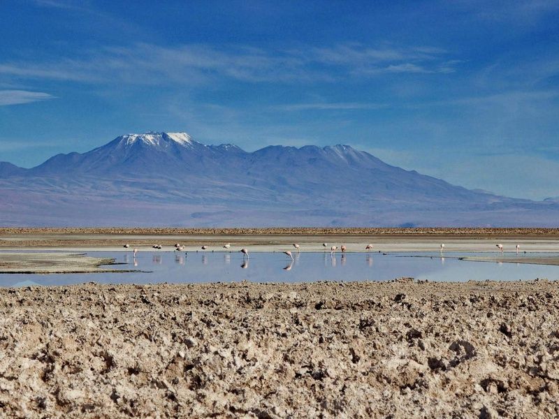 Circuit Privatif Mystère d'Atacama & île de Pâques pas cher photo 13