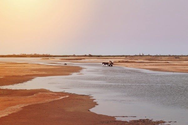 Circuit Beautés du Sénégal et balade avec les lions de Fathala pas cher photo 3