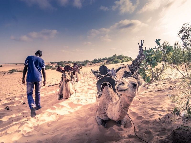 Sénégal Authentique 9J/7N - Départ les vendredis pas cher photo 6