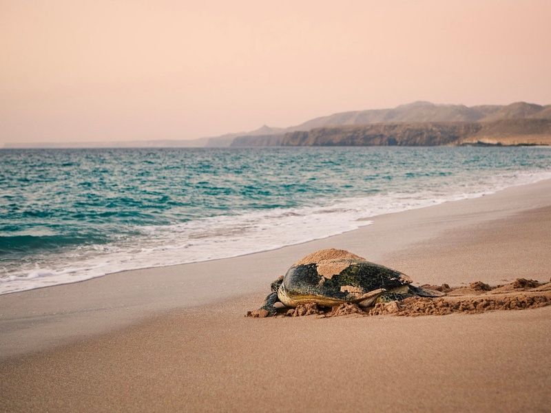 Sur la route : Oman - 8J/7N pas cher photo 8