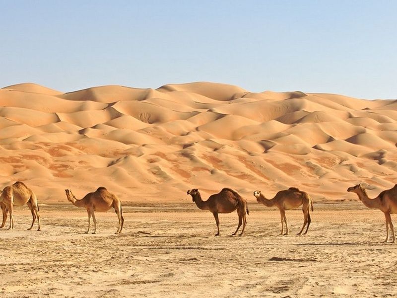 A la rencontre d'Oman - 9J/8N pas cher photo 3