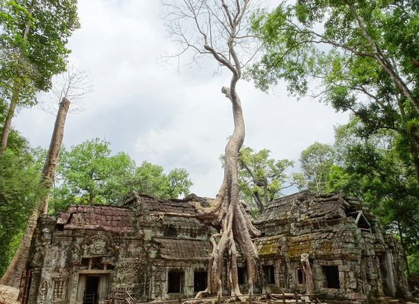 Immersion au Cambodge pas cher photo 14