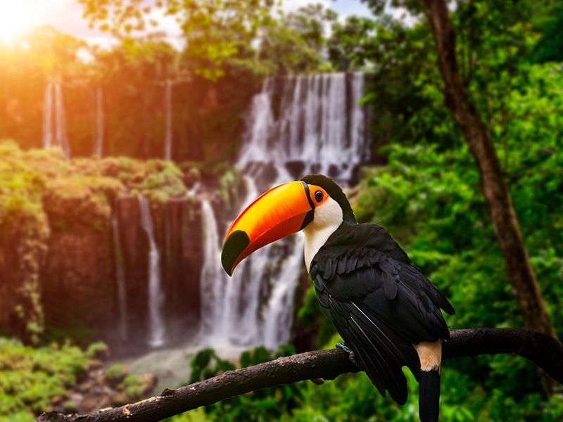 Circuit Buenos Aires & Puerto Iguazú pas cher photo 15