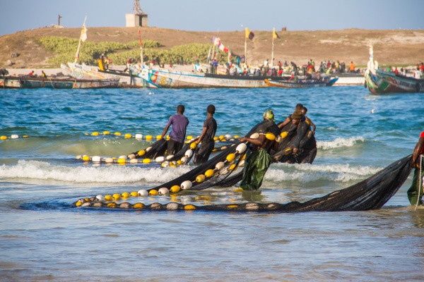 Circuit Beautés du Sénégal et Extension Framissima Palm Beach pas cher photo 5