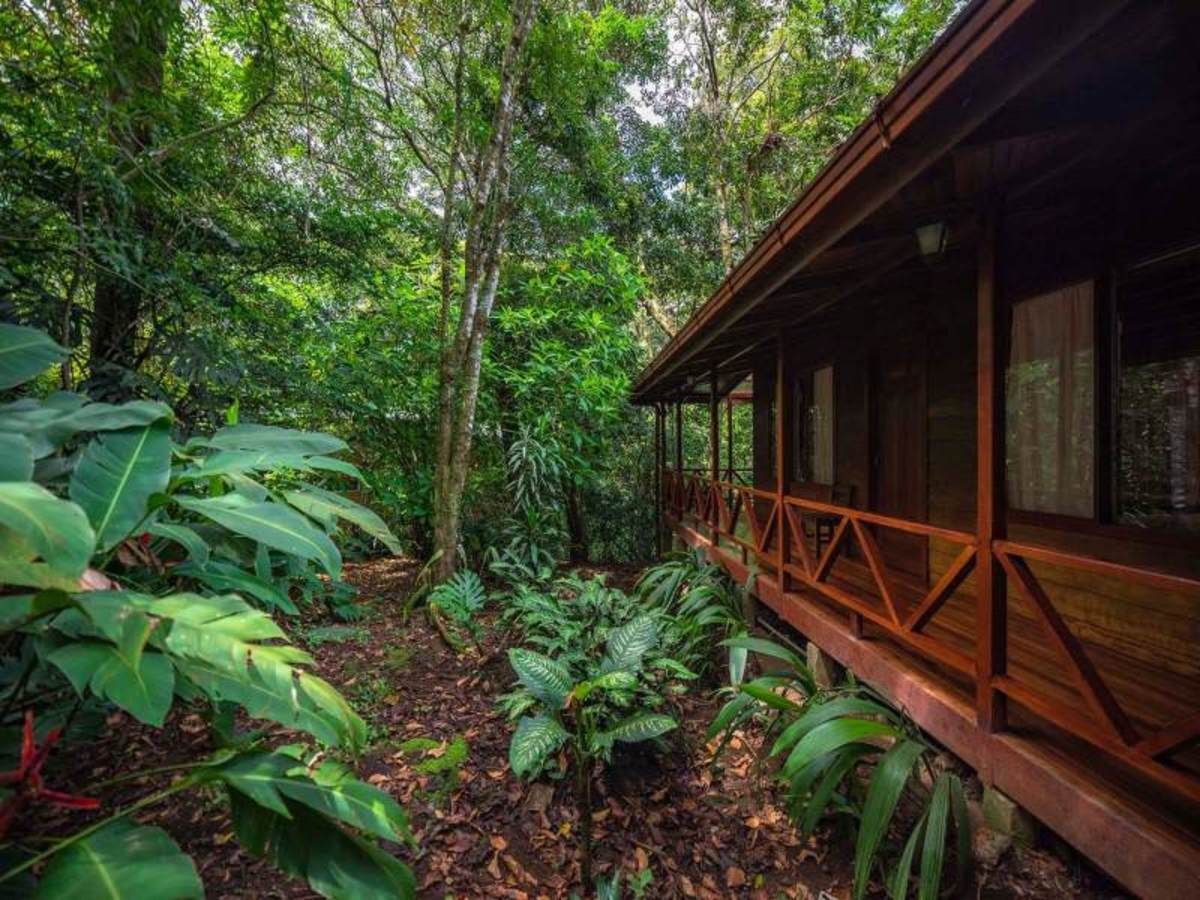 L'Essentiel du Costa Rica + Punta Leona 12 Jours / 11 Nuits pas cher photo 5