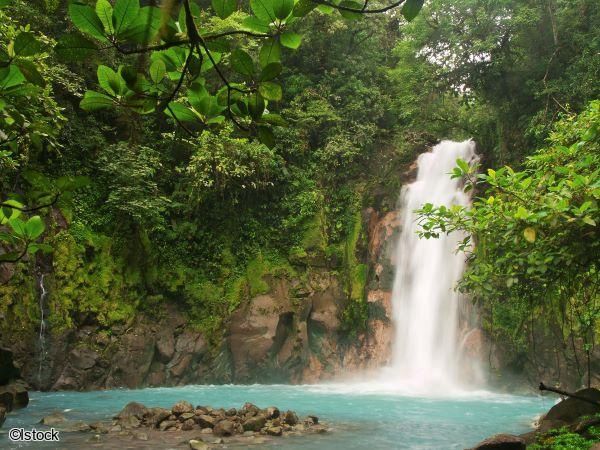 2026 - Circuit Costa Rica, où la nature prend vie - 25 personnes maximum pas cher photo 4