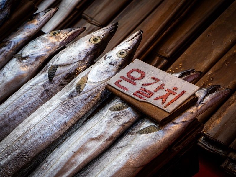 Passage d’Asie, de la Corée au Japon – Circuit individuel en 3* pas cher photo 12