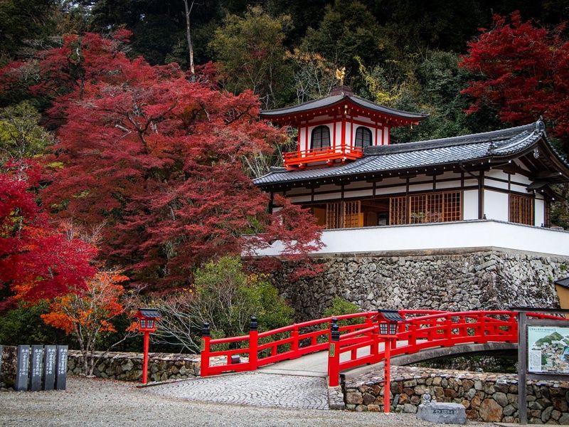 Passage d’Asie, de la Corée au Japon – Circuit individuel en 3* pas cher photo 16