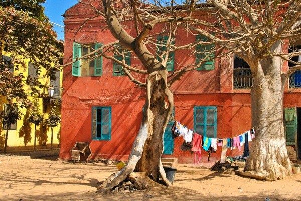 Circuit Racines et Plages du Sénégal, logement au Jumbo Yuma Lodge 3* pas cher photo 2