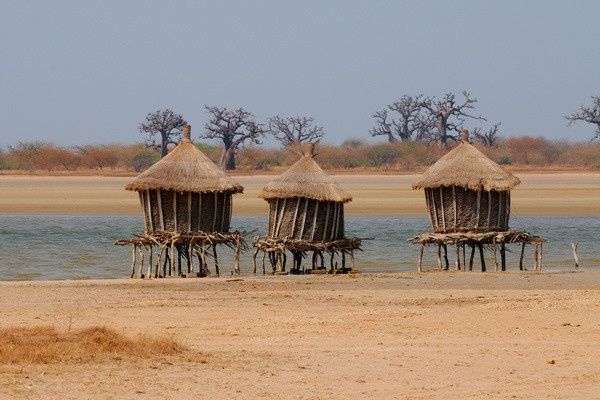 Circuit Racines et Plages du Sénégal, logement au Jumbo Yuma Lodge 3* pas cher photo 11