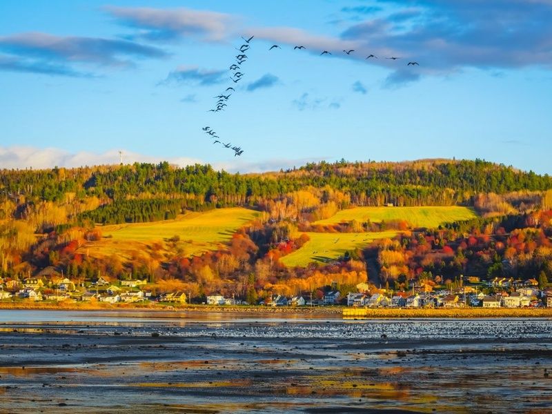 Cap sur la Belle Province - 8J/6N - 2026 pas cher photo 6