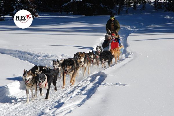 Splendeurs du Québec en hiver 8J/6N pas cher
