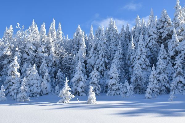 Splendeurs du Québec en hiver 8J/6N pas cher photo 3