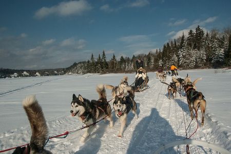 Splendeurs du Québec en hiver 8J/6N pas cher photo 12