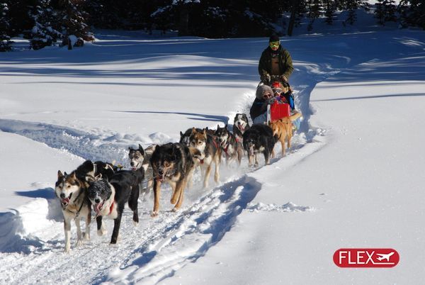 Splendeurs du Québec en hiver 8J/6N pas cher photo 1