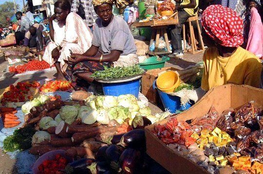 Circuit Privilège Sénégal en privatif pas cher photo 12