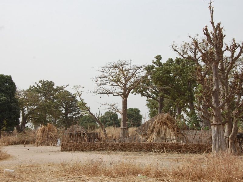 Circuit Privilège Sénégal en privatif pas cher photo 23