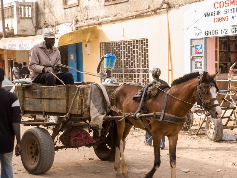 Circuit Privilège Sénégal en privatif pas cher photo 28