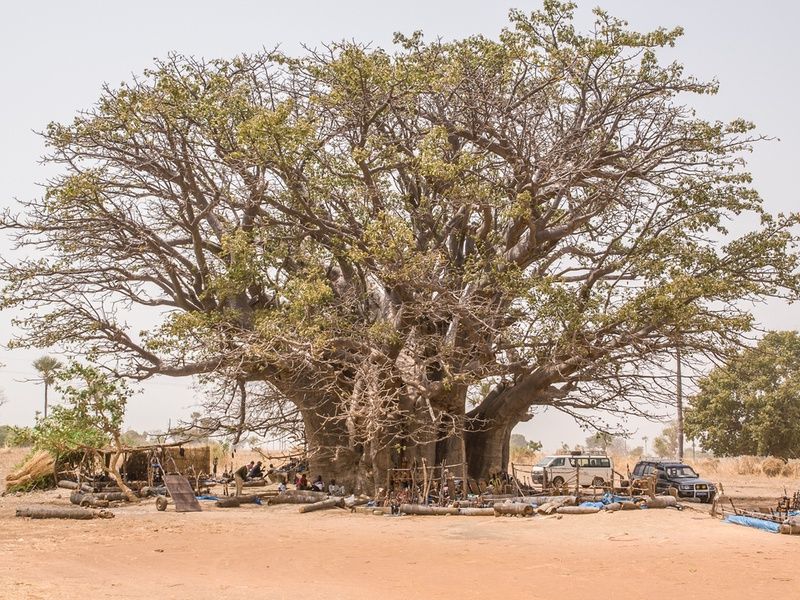 Circuit Privilège Sénégal en privatif pas cher photo 33