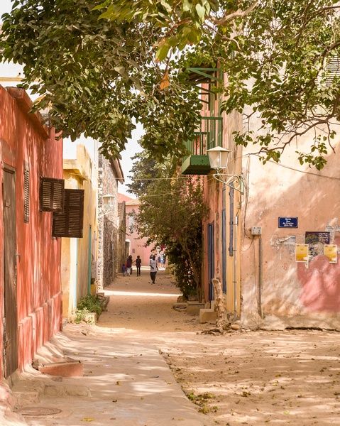 Circuit Privilège Sénégal en privatif pas cher photo 34
