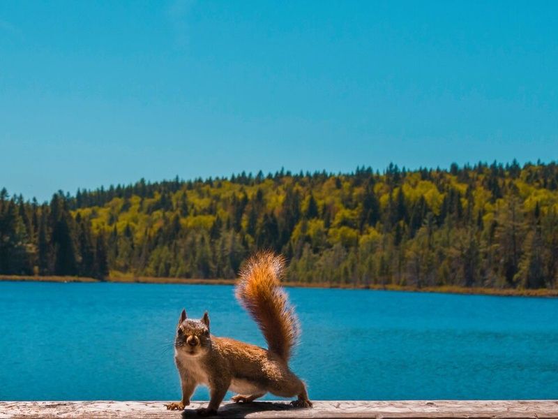 Beautés de l'Est Canadien - 12J/10N pas cher photo 1