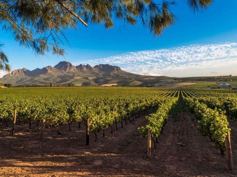 L'Afrique du Sud Intimiste - 13J/10N pas cher photo 3