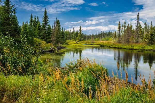 Splendeurs du Canada 12J/10N - 2026 pas cher photo 9