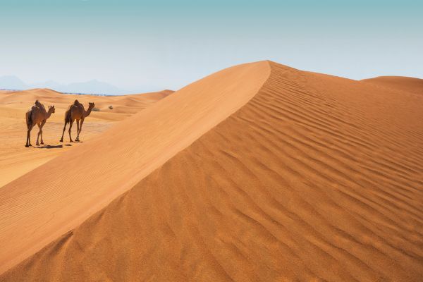 Circuit Mille et Une nuits, Rêve d'Orient au coeur du désert en Privatif pas cher photo 21